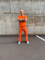 Load image into Gallery viewer, ORANGE PANTS
